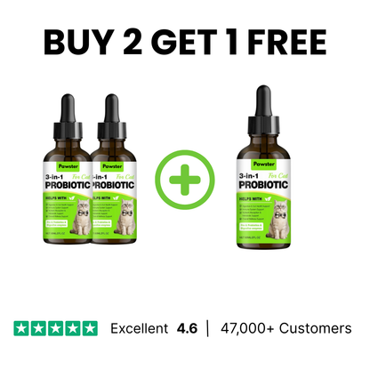 Pawster 3 In 1 Cat Probiotic Drops
